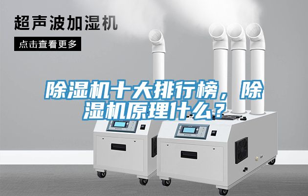 除濕機(jī)十大排行榜，除濕機(jī)原理什么？