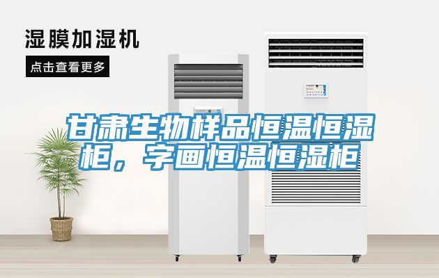 甘肅生物樣品恒溫恒濕柜，字畫恒溫恒濕柜