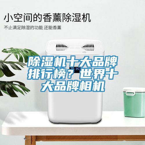 除濕機(jī)十大品牌排行榜？世界十大品牌相機(jī)