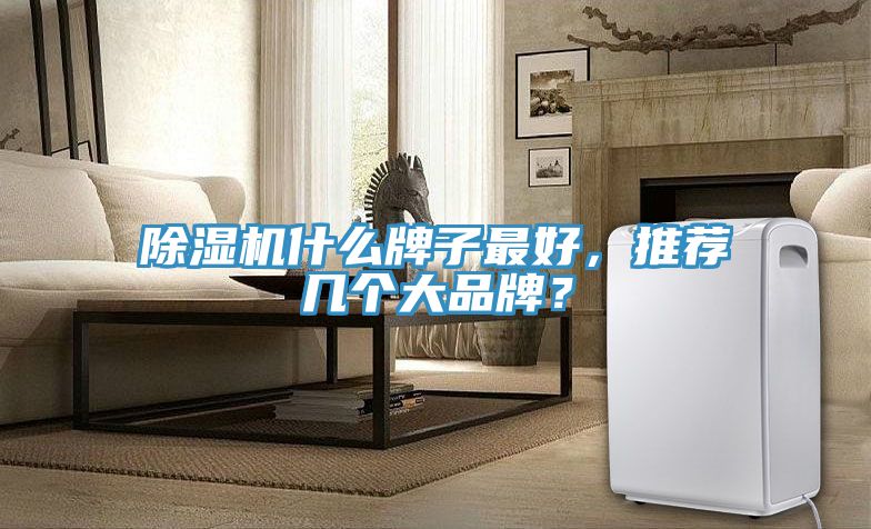 除濕機(jī)什么牌子最好，推薦幾個(gè)大品牌？