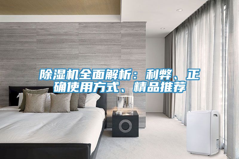 除濕機(jī)全面解析：利弊、正確使用方式、精品推薦