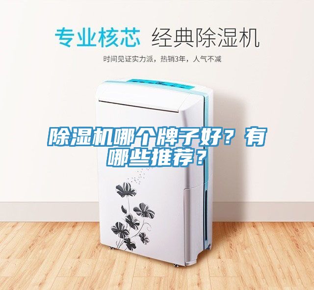除濕機哪個牌子好？有哪些推薦？