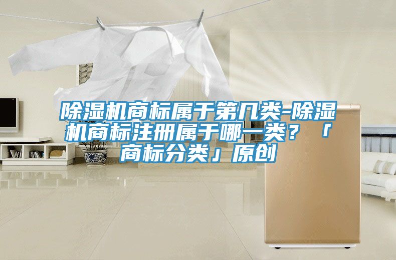 除濕機(jī)商標(biāo)屬于第幾類-除濕機(jī)商標(biāo)注冊屬于哪一類？「商標(biāo)分類」原創(chuàng)