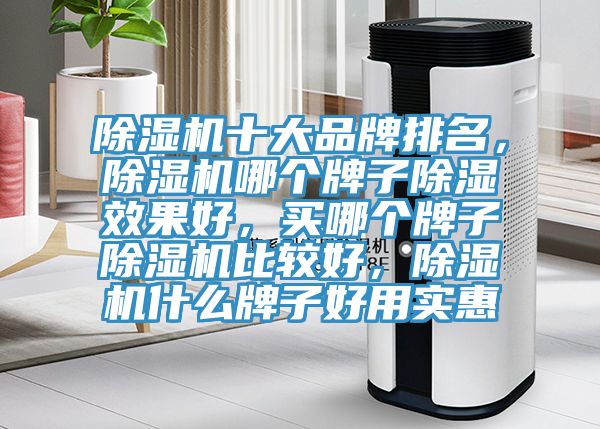 除濕機(jī)十大品牌排名，除濕機(jī)哪個(gè)牌子除濕效果好，買哪個(gè)牌子除濕機(jī)比較好，除濕機(jī)什么牌子好用實(shí)惠
