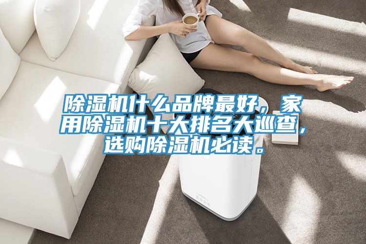 除濕機(jī)什么品牌最好，家用除濕機(jī)十大排名大巡查，選購除濕機(jī)必讀。