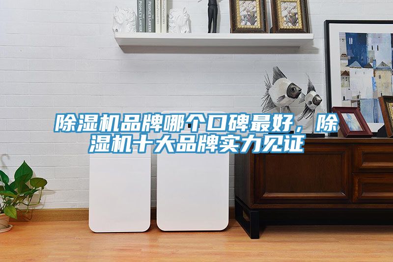 除濕機(jī)品牌哪個口碑最好，除濕機(jī)十大品牌實力見證