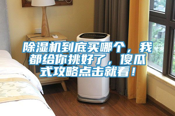 除濕機到底買哪個，我都給你挑好了，傻瓜式攻略點擊就看！