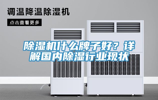 除濕機什么牌子好？詳解國內(nèi)除濕行業(yè)現(xiàn)狀