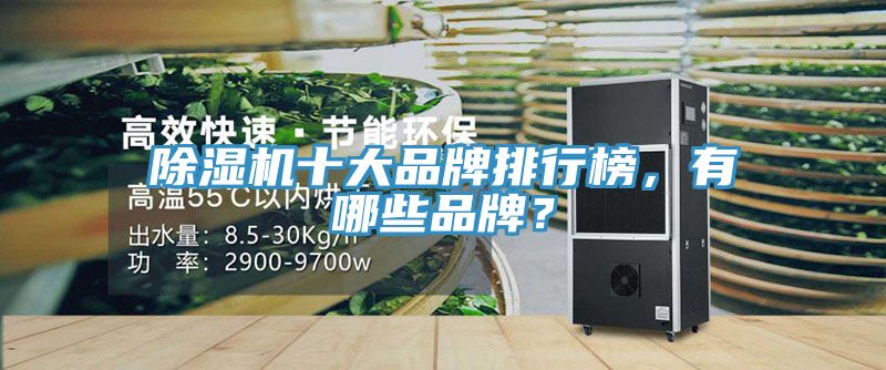 除濕機(jī)十大品牌排行榜，有哪些品牌？