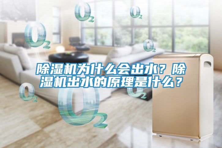 除濕機(jī)為什么會(huì)出水？除濕機(jī)出水的原理是什么？