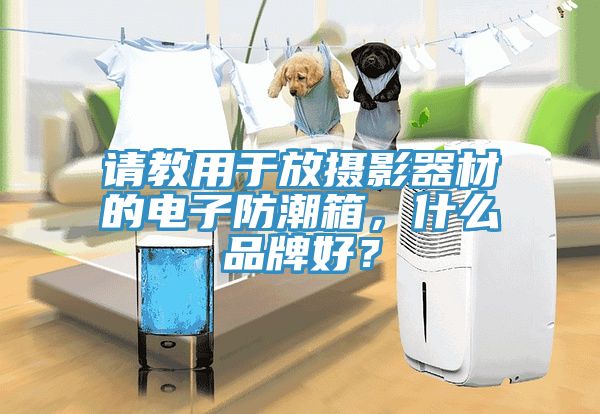 請教用于放攝影器材的電子防潮箱，什么品牌好？