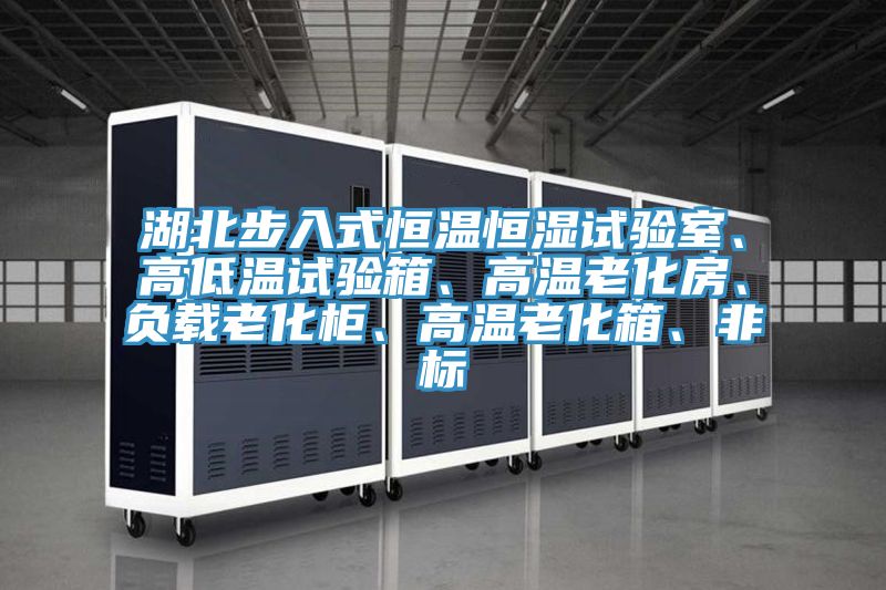 湖北步入式恒溫恒濕試驗室、高低溫試驗箱、高溫老化房、負(fù)載老化柜、高溫老化箱、非標(biāo)