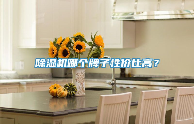 除濕機哪個牌子性價比高？