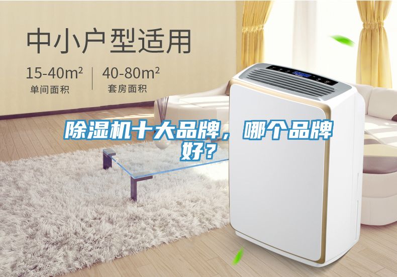 除濕機(jī)十大品牌，哪個(gè)品牌好？