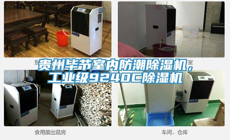 貴州畢節(jié)室內(nèi)防潮除濕機(jī)，工業(yè)級(jí)9240C除濕機(jī)