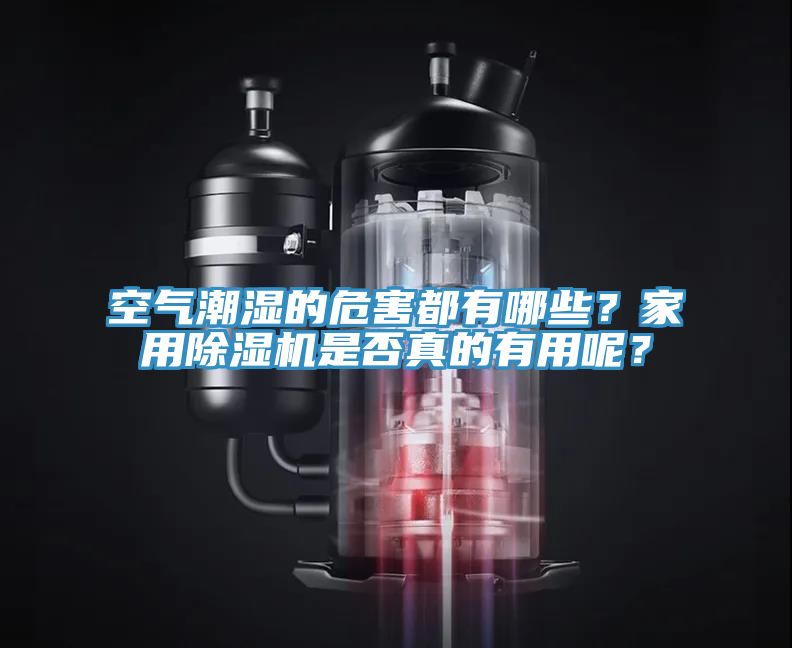 空氣潮濕的危害都有哪些？家用除濕機(jī)是否真的有用呢？