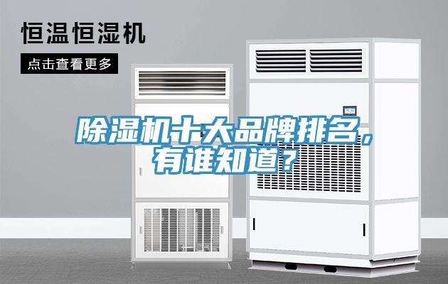 除濕機(jī)十大品牌排名，有誰(shuí)知道？