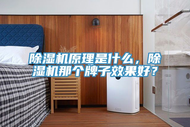 除濕機(jī)原理是什么，除濕機(jī)那個(gè)牌子效果好？