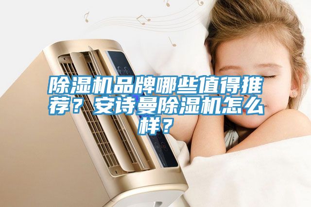 除濕機(jī)品牌哪些值得推薦？安詩曼除濕機(jī)怎么樣？