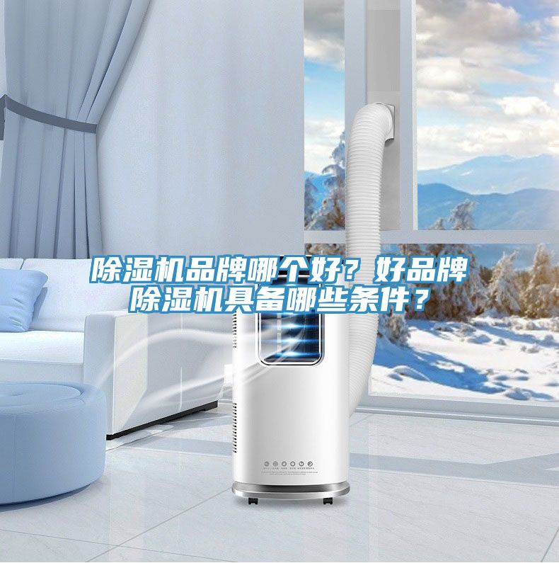 除濕機(jī)品牌哪個好？好品牌除濕機(jī)具備哪些條件？