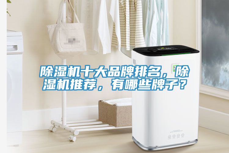 除濕機(jī)十大品牌排名，除濕機(jī)推薦，有哪些牌子？