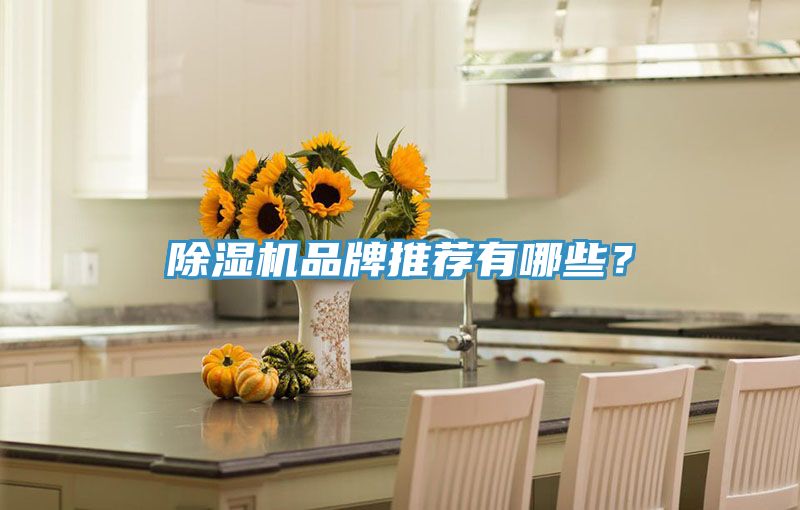 除濕機品牌推薦有哪些？