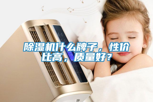 除濕機(jī)什么牌子，性價(jià)比高，質(zhì)量好？