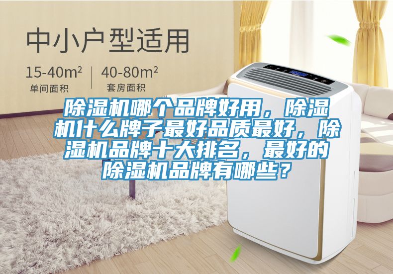 除濕機(jī)哪個(gè)品牌好用，除濕機(jī)什么牌子最好品質(zhì)最好，除濕機(jī)品牌十大排名，最好的除濕機(jī)品牌有哪些？
