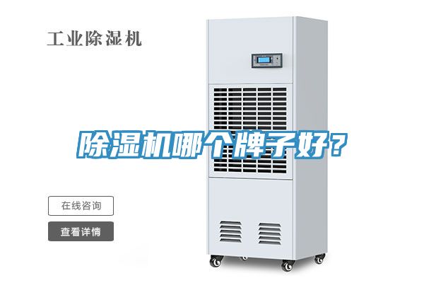 除濕機哪個牌子好？