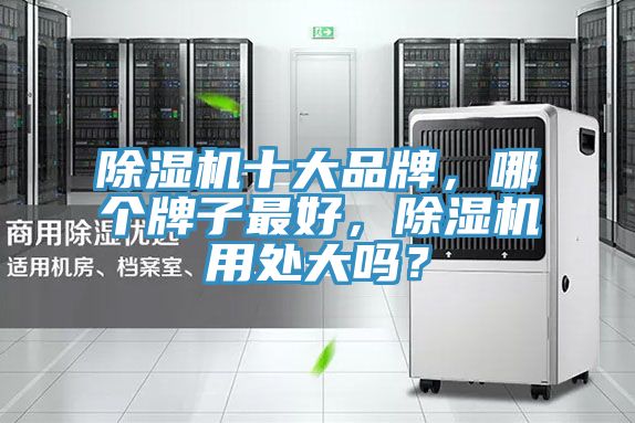 除濕機(jī)十大品牌，哪個(gè)牌子最好，除濕機(jī)用處大嗎？