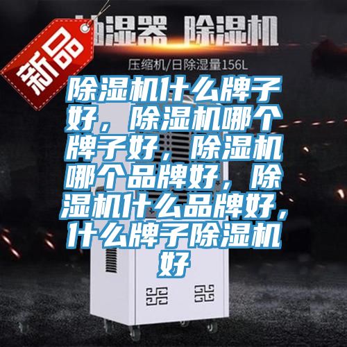 除濕機(jī)什么牌子好，除濕機(jī)哪個(gè)牌子好，除濕機(jī)哪個(gè)品牌好，除濕機(jī)什么品牌好，什么牌子除濕機(jī)好