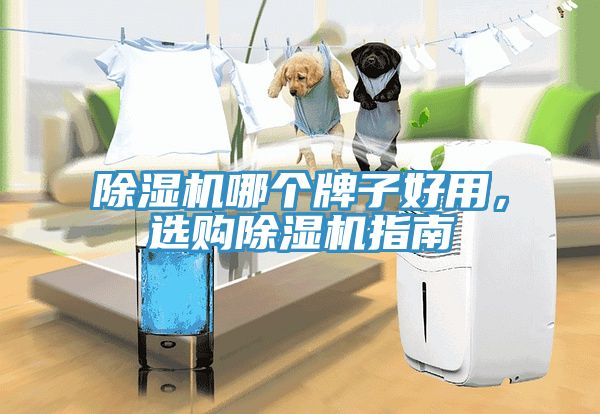 除濕機(jī)哪個(gè)牌子好用，選購(gòu)除濕機(jī)指南
