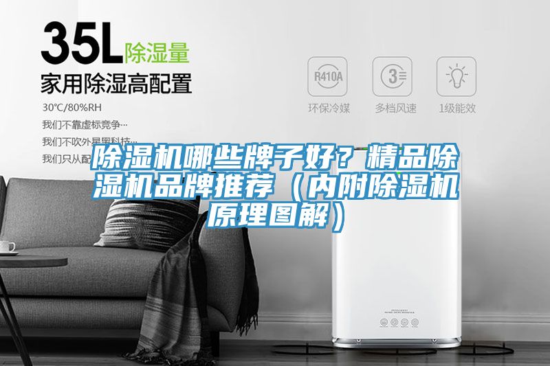 除濕機哪些牌子好？精品除濕機品牌推薦（內(nèi)附除濕機原理圖解）