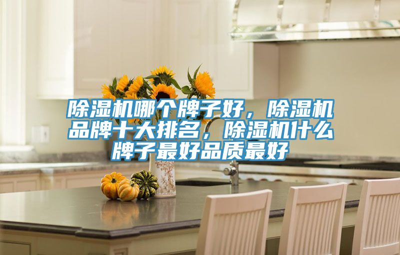 除濕機哪個牌子好，除濕機品牌十大排名，除濕機什么牌子最好品質最好