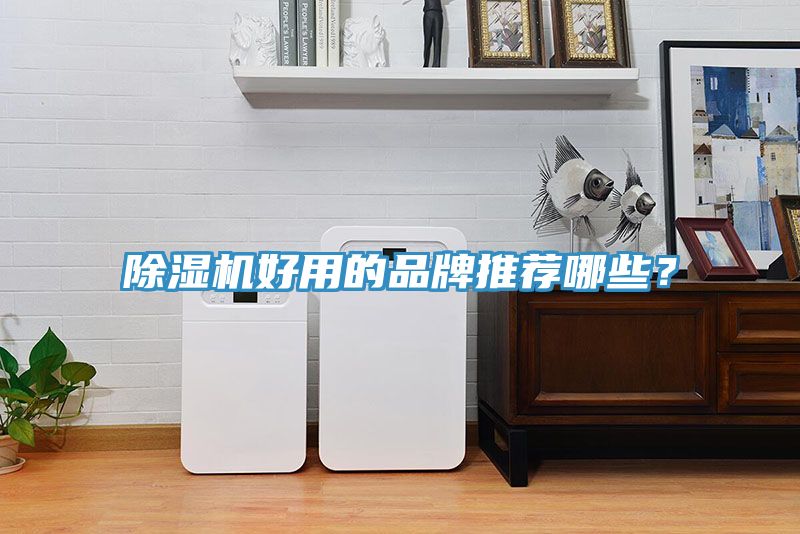除濕機好用的品牌推薦哪些？