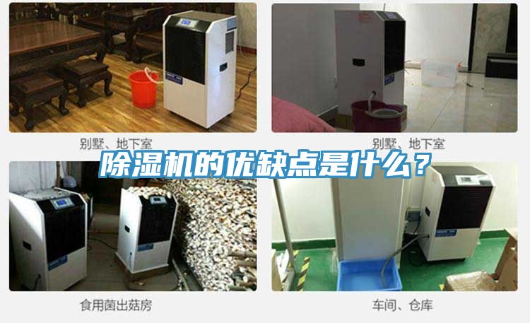 除濕機(jī)的優(yōu)缺點(diǎn)是什么？