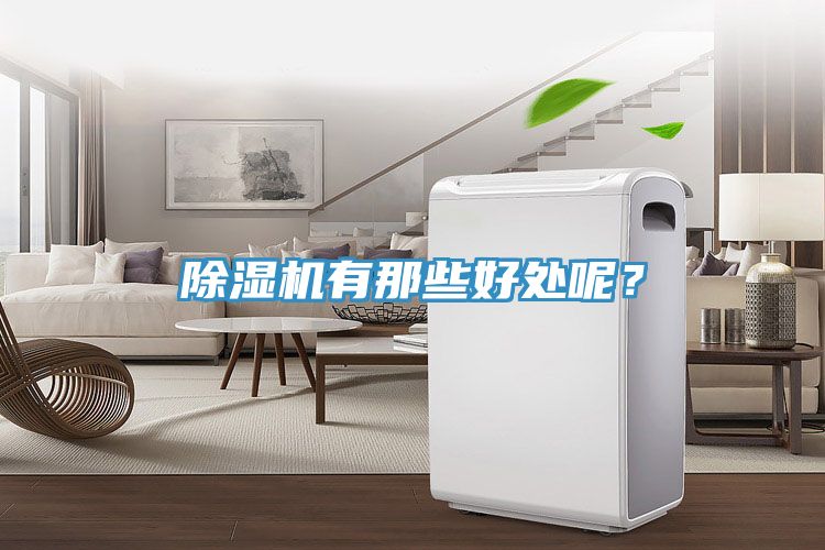 除濕機(jī)有那些好處呢？