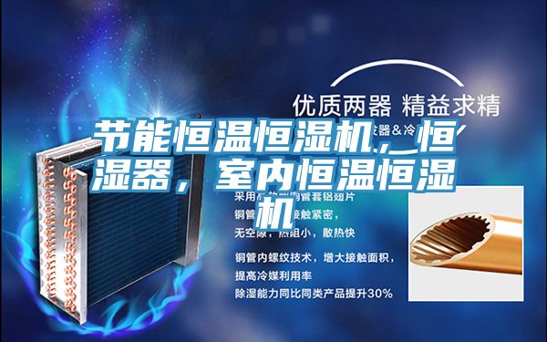 節(jié)能恒溫恒濕機，恒濕器，室內恒溫恒濕機