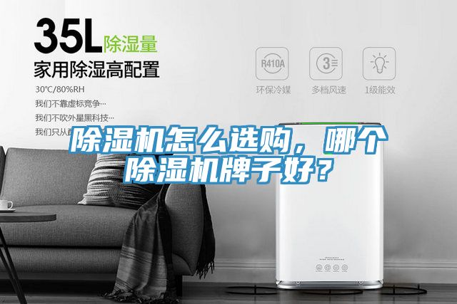 除濕機(jī)怎么選購，哪個除濕機(jī)牌子好？