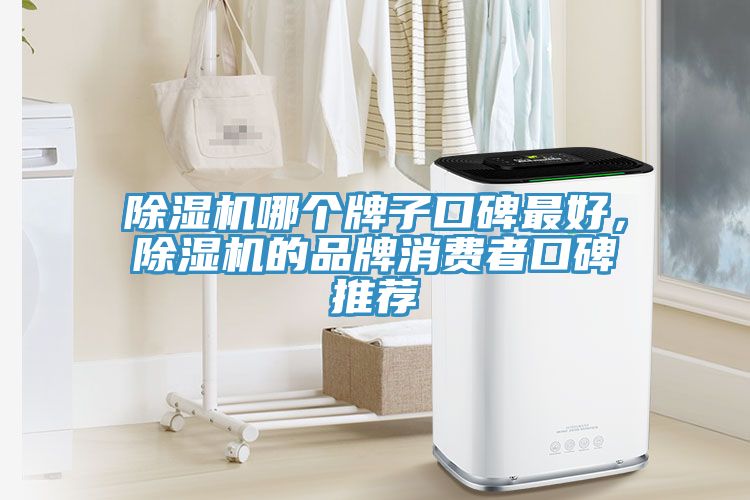 除濕機哪個牌子口碑最好，除濕機的品牌消費者口碑推薦