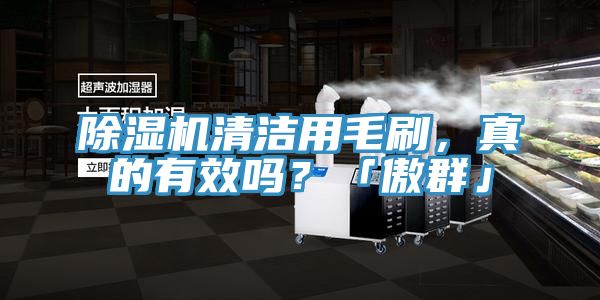 除濕機清潔用毛刷，真的有效嗎？「傲群」