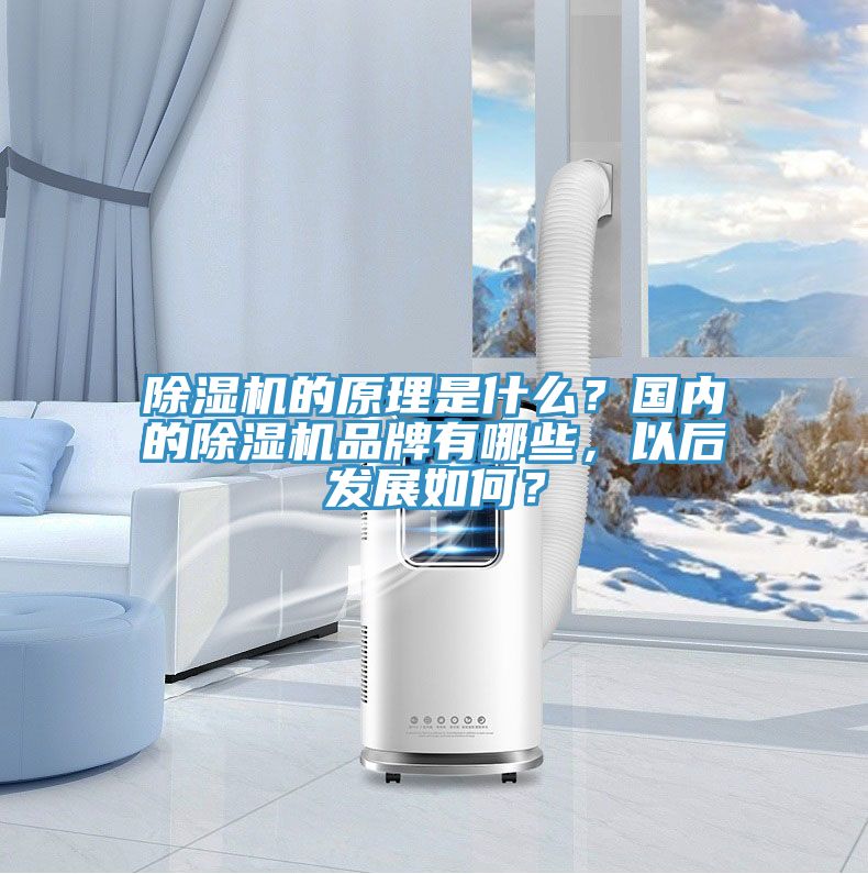 除濕機(jī)的原理是什么？國內(nèi)的除濕機(jī)品牌有哪些，以后發(fā)展如何？