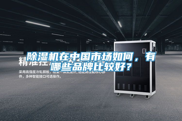除濕機在中國市場如何，有哪些品牌比較好？