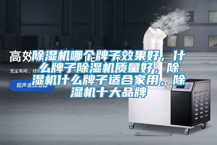 除濕機哪個牌子效果好，什么牌子除濕機質(zhì)量好，除濕機什么牌子適合家用，除濕機十大品牌
