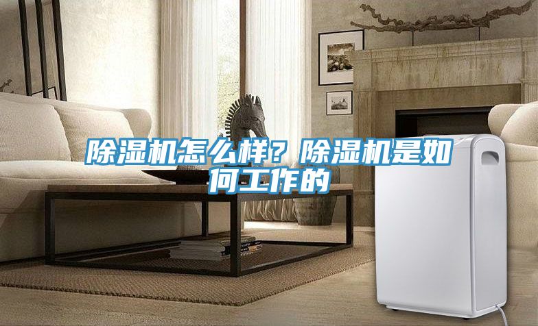 除濕機怎么樣？除濕機是如何工作的