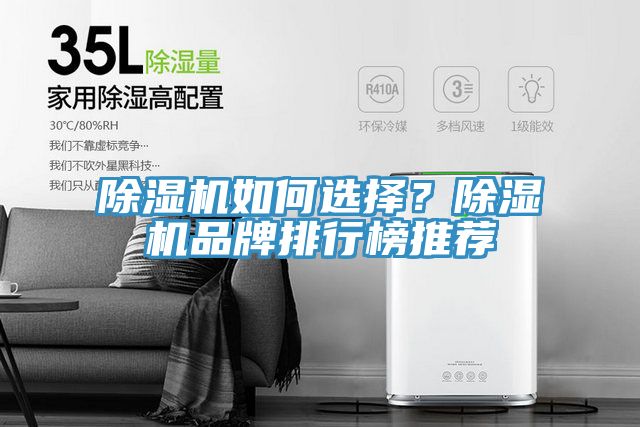 除濕機(jī)如何選擇？除濕機(jī)品牌排行榜推薦