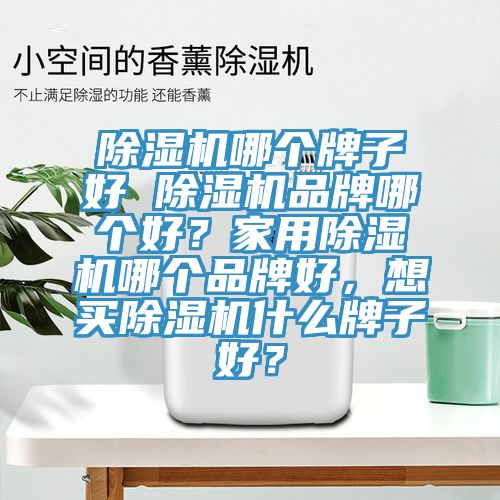 除濕機哪個牌子好 除濕機品牌哪個好？家用除濕機哪個品牌好，想買除濕機什么牌子好？