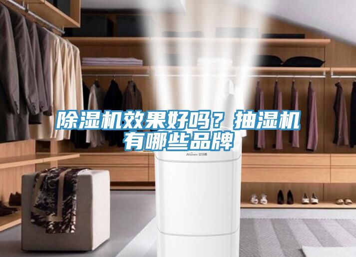 除濕機(jī)效果好嗎？抽濕機(jī)有哪些品牌
