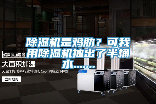 除濕機是雞肋？可我用除濕機抽出了半桶水.......