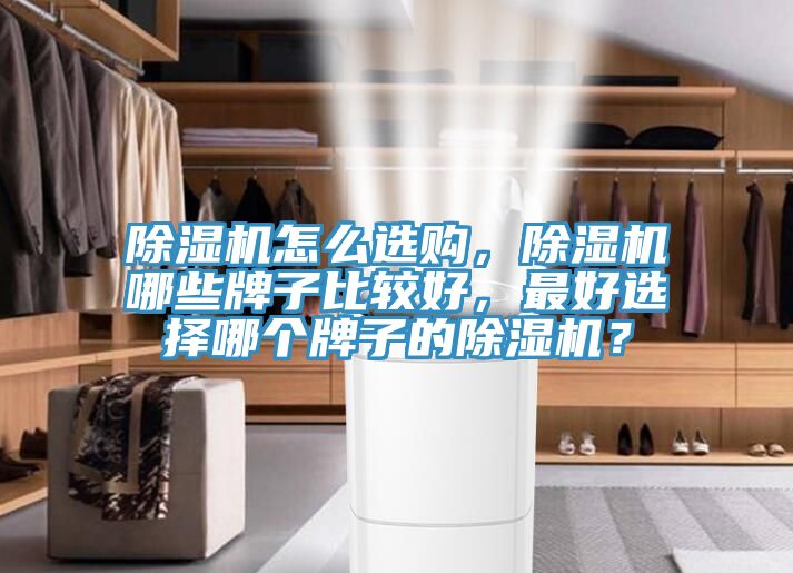 除濕機(jī)怎么選購，除濕機(jī)哪些牌子比較好，最好選擇哪個牌子的除濕機(jī)？